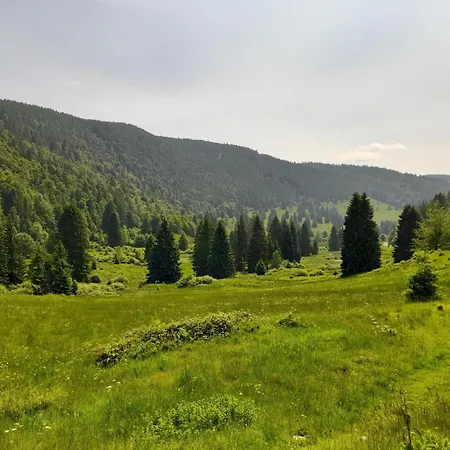 Schwarzwaldstuebchen Appartamento