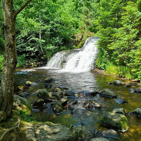 Schwarzwaldstuebchen Apartament *