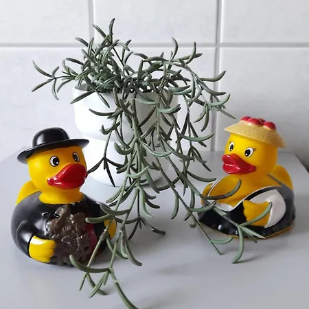 Appartamento Schwarzwaldstuebchen *