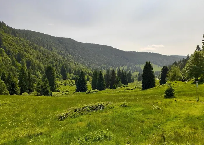 Schwarzwaldstuebchen Appartamento