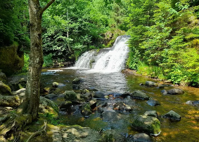 Schwarzwaldstuebchen Apartament *