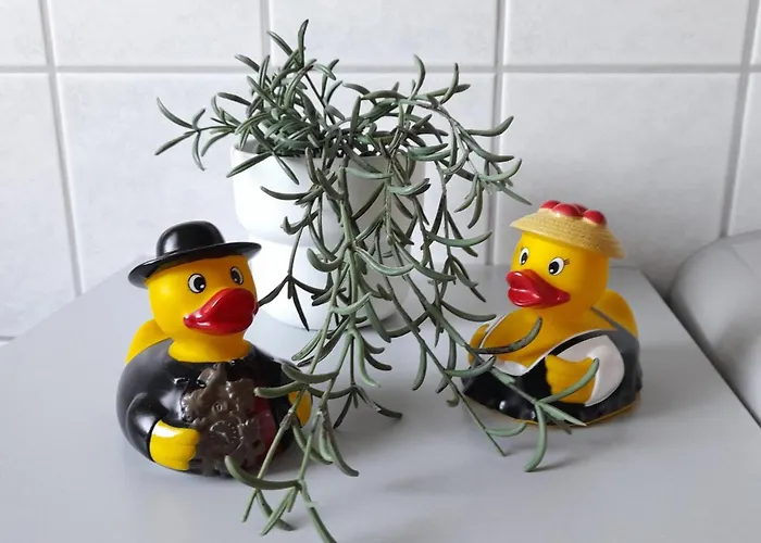 Appartamento Schwarzwaldstuebchen *